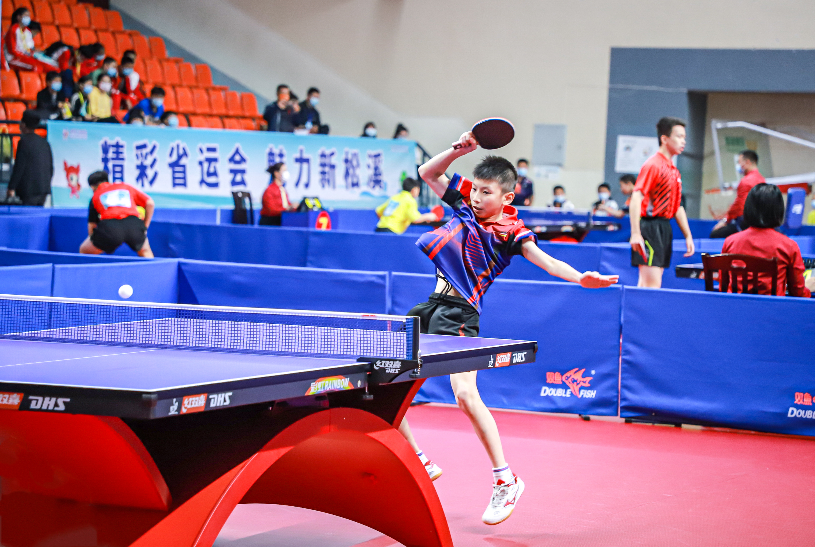 的训练结构 的训练结构